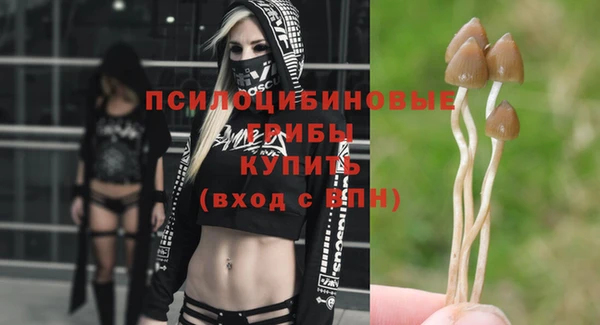 мяу мяу мука Гусев
