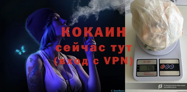 мяу мяу мука Гусев