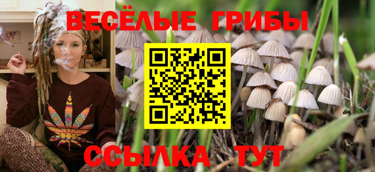 Псилоцибиновые грибы прущие грибы  Вход с VPN  как найти наркотики  Дивногорск 