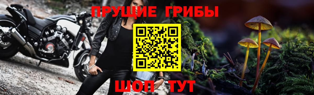 Галлюциногенные грибы MAGIC MUSHROOMS Дивногорск